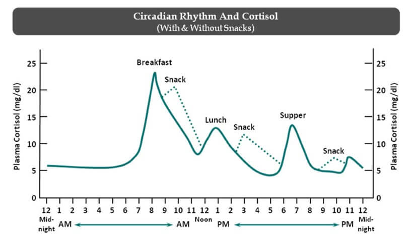 ritme circadiano cafe cortisol