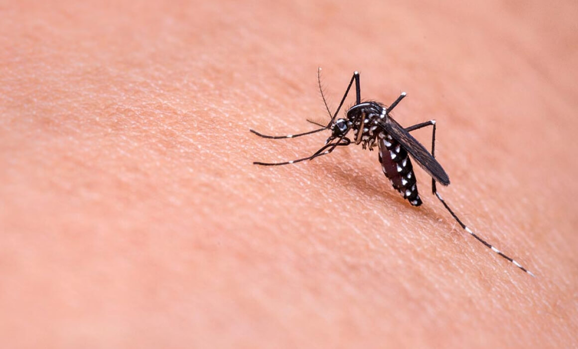 Quan et pica un mosquit et surt una gran marca vermella? (Histamina i dèficit de DAO)